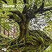 Bäume 2020 Broschürenkalender by 
