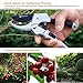 Pruning Shears - Wsiiroon 8