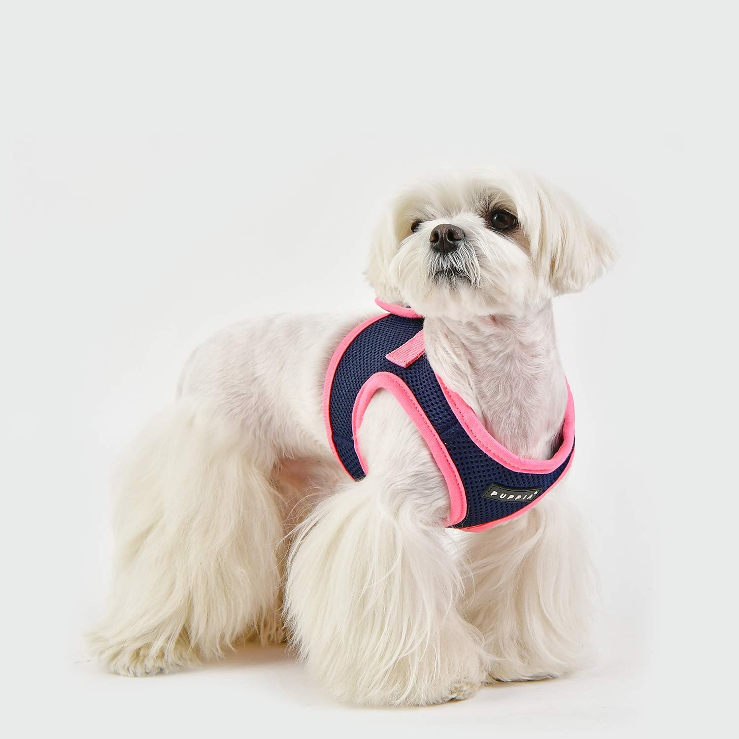 Puppia Soft Vest Dog Harness II and adjustable harness for small or medium dogs, Navy Blue - Image 5