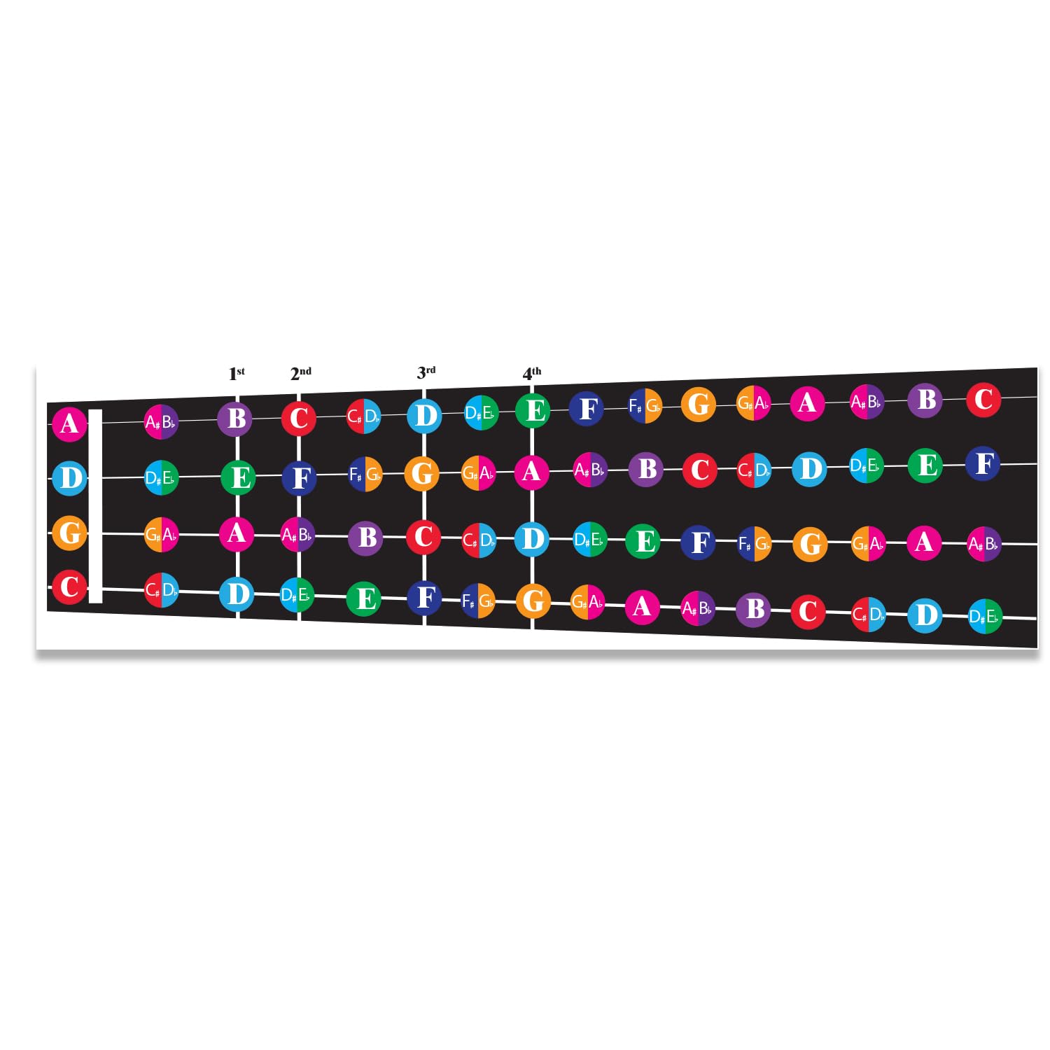 QMG Color‑Coded Cello/Viola Fretboard Note Chart, Learn Notes & Music Theory, Visual Guide for All Skill Levels