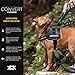 EzyDog Convert Dog Harness – Trail-Ready Rugged Harness for Walking, Hiking & Outdoors with Reflective Piping, Badge Attachment Points, Traffic handle, & Comfort Lining (Large, Charcoal)