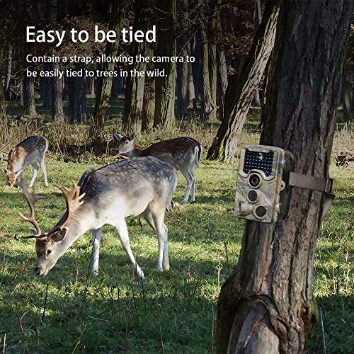 image for FUNSHION Trail Camera 16MP 1080P Game Camera with 2.4 inch LCD IP56 Wa