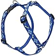 LupinePet Originals 3/4" Dapper Dog 14-24" Adjustable Roman Dog Harness for Medium Dogs
