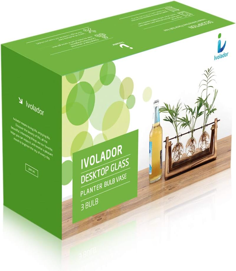 Ivolador Desktop Glass Planter Bulb Vase Bulb Plant Terrarium with Retro Solid Wooden Stand and Metal Swivel Holder for Hydroponics Plants Home Garden Wedding Decor (3 Bulb Vase): Pet Supplies