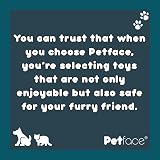 Petface Squeaky Tennis Balls for Dogs Pack of 3 All Breed Sizes view 6