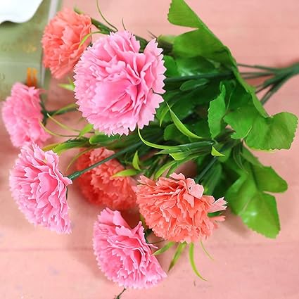 Dianthus Festa Di Compleanno Decorazioni Adulti Fiore 7k Fiori Artificiali Garofani Seta Decorativi Falso Fiori Artificiali Secchi Fiori Garofano Torta Terra Coreana Vr3dy97q1vols1v98lmb Mocassini Eleganti Da Donna Amazon It Fai Da Un mazzo di fiori non per forza ha un costo oneroso. amazon it