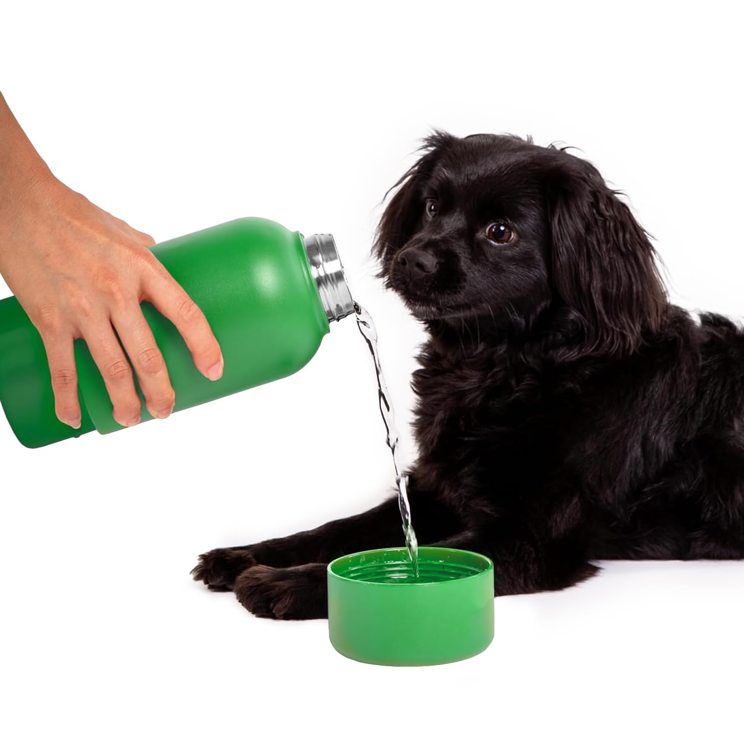 Ubbi Stainless Steel Insulated Portable 32 oz. Water Bottle for Dogs and Owners with Attached Dog Bowl, Green