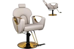 Hicomony Gray Salon Chair for Hair Stylist, Barber Chair for Home, Recling Salon Hair Chair with Hydraulic Pump,360°Rotation,130°Recline, Hair Styling Chair
