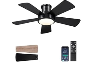 HOUNBERI Ceiling Fans with Lights,Modern Low Profile Ceiling Fan with Remote Control,5 Dual-Sided Blades,Reversible DC Motor,40" Black Small Flush Mount Ceiling Fan for Bedroom Indoor/Outdoor Use