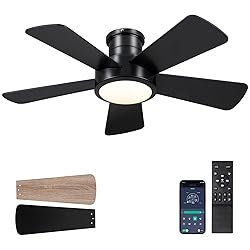 Ceiling Fans with Lights,Modern Low Profile Ceiling