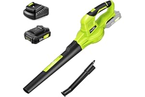 SnapFresh Leaf Blower Cordless - 20V Electric Leaf Blower with 2.0 Ah Battery and Charger, Lightweight & 2-Speed, Battery Pow