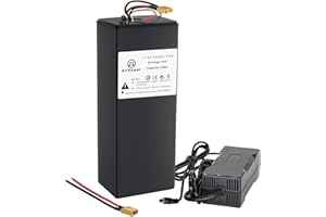 BtrPower Ebike Battery 48V 52V 60A 72V 10AH 18AH 20AH 30AH 50AH Lithium Ion / LiFePO4 Battery Pack with 3A/5A Charger,50A/80A BMS for 300W-4500W Motor