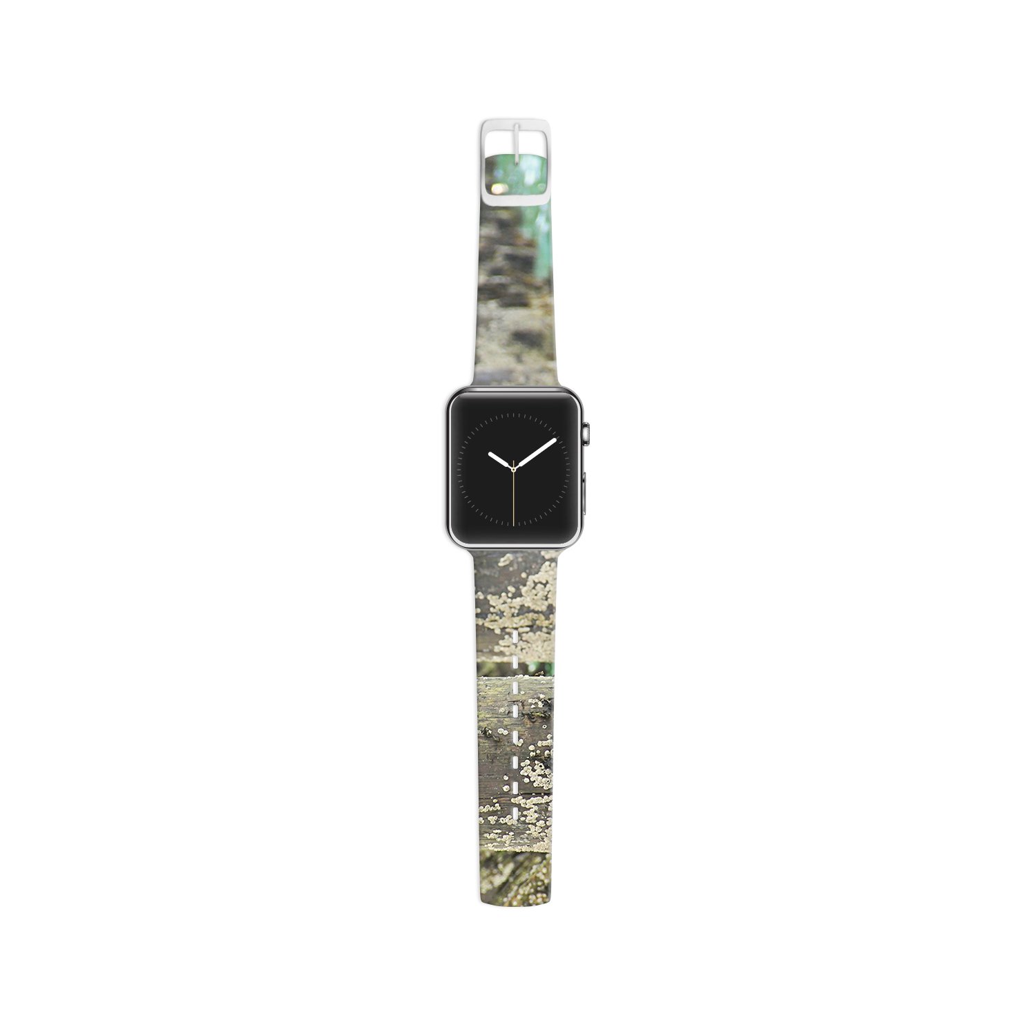salt water apple watch