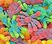 SweetGourmet Sour Brite Gummy Octopus Candy | 1 Pound