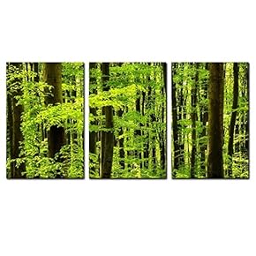 Canvas Prints Wall Art - 3 Panel Canvas Prints Wall Art - Green Trees in Tropical Forest - 16"x24" x 3 Panels