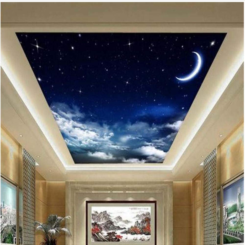 Amazon Com Xbwy Custom 3d Ceiling Mural Wallpaper Landscape Night
