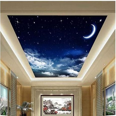 Amazon Com Xbwy Custom 3d Ceiling Mural Wallpaper Landscape Night