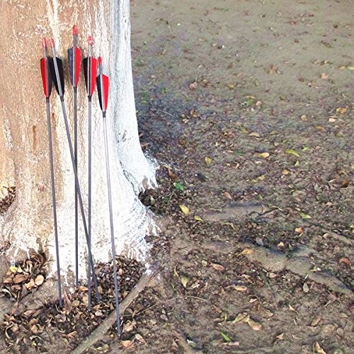image for MS Jumpper Archery Carbon Arrows, High Percentage Carbon-Fiber Arrow S