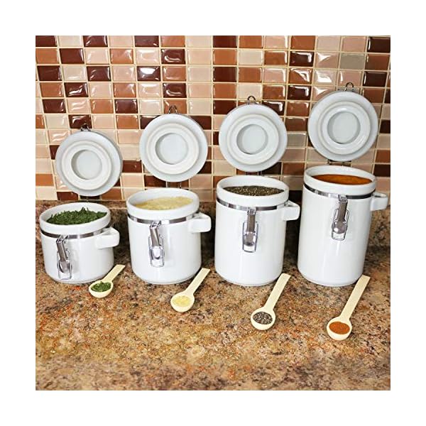 Blue Donuts 4Piece Canister Sets for Kitchen Counter Ceramic