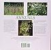 Annuals: Yearly Classics for the Contemporary Garden (Antique Flowers)
