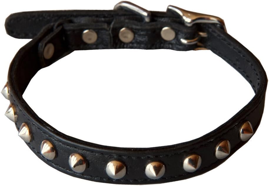 punk cat collar