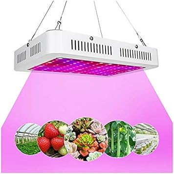 FXJIAO Pflanzenlampe LED Pflanzenlichter - 1000W Vollspektrum Pflanze