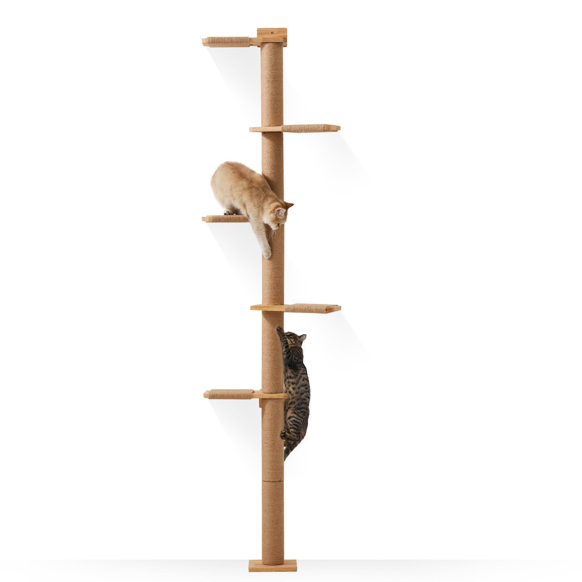 Photo 1 of FUKUMARU Tall Cat Tree, 5 Tier Floor to Ceiling Cats Tower, Wall-Mounted Kitten Scratching Post, Wild Simulation Kittens Wall Shelves, Suitable for Climb, Scratch, Lookout and Play