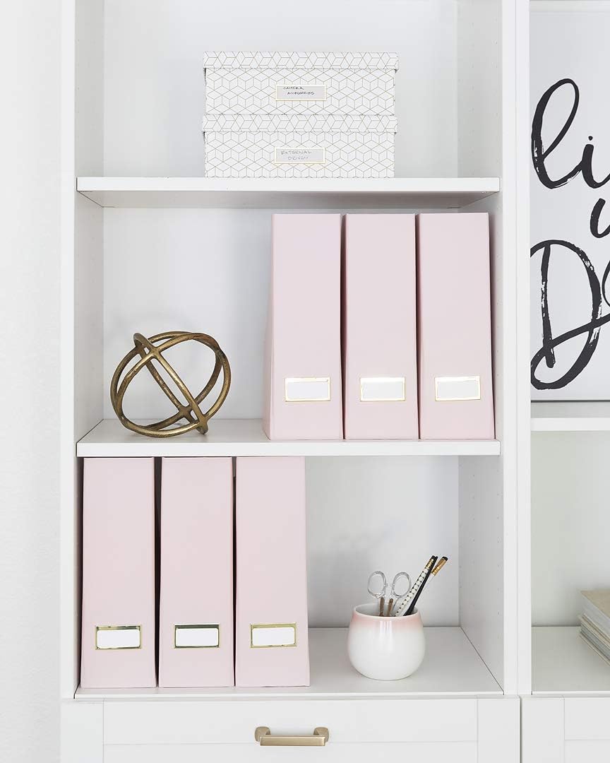 Blu Monaco Foldable Pink Magazine Holder with Gold Label Holder - Set of 6 - Cardboard Magazine File Boxes Desk File Organizer: Home & Kitchen