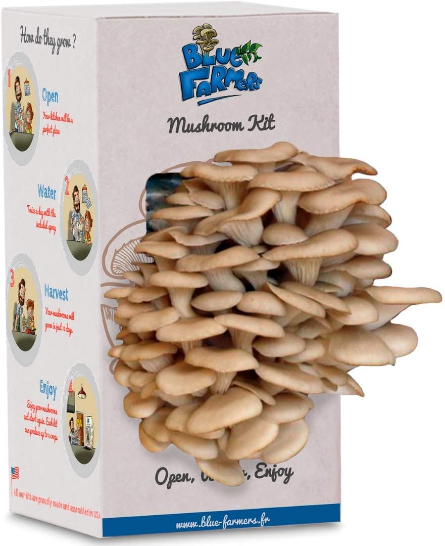 Mushroom Growing Kit - Blue Farmers - Blue Oyster Mushrooms - Grows in 10 Days - Top Christmas Gift - Top Gardening Gift - Original Gift… (Blue Oyster Mushrooms)