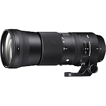 Amazon.com : Sigma 150-600mm f/5-6.3 DG HSM OS Contemporary Lens  