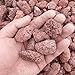 BCQLI 400g Sphere Bio-Filter Media for Marine and Freshwater Aquariums, Red Volcanic Rock