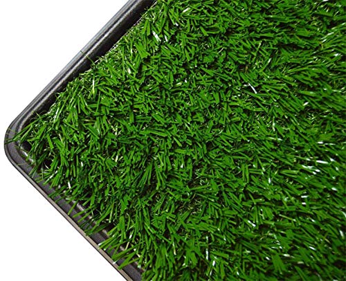 tinkle turf replacement grass