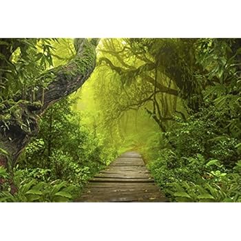 Amazon.com : LFEEY 9x6ft Jungle Theme Backdrop Green