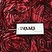 E'Plaza 2pcs New Burgundy 3D Raised Ribbon Roses Cushion Covers Throw Pillow Cases 16X16 (2, Burgundy)
