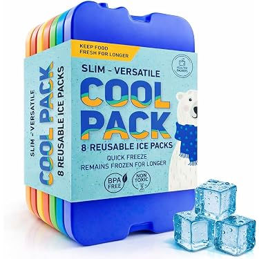 Lot De 4 Packs De Glace Réutilisables – 350 Ml Et 800 Ml, étanches, Pour Glacières, Pêche, Camping