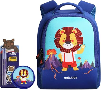 backpack that looks like a book