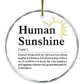 Human Sunshine Inspirational Hanging Ornament,Appreciation Encouragement Gifts for Women Men Coworkers,Motivational Crystal Hanging Plaque Ornament Keepsakes for Tree Decor