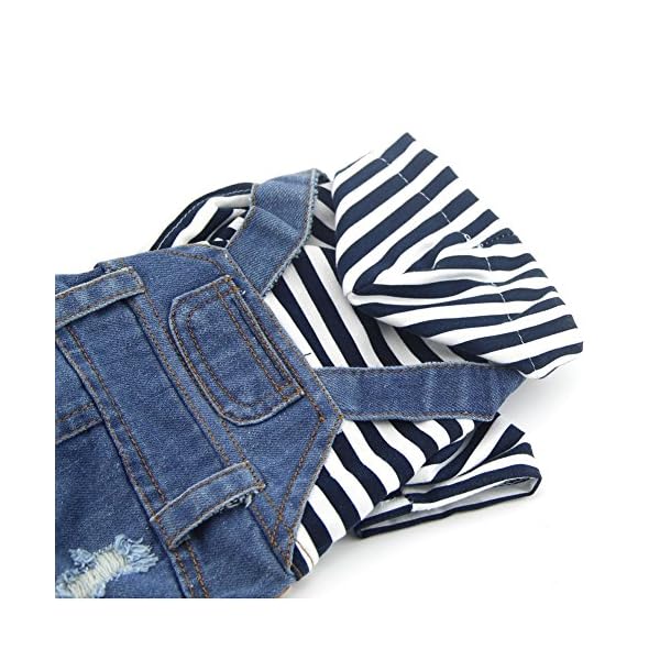 Denim Vest Outfit For Small Dogs - Image 3