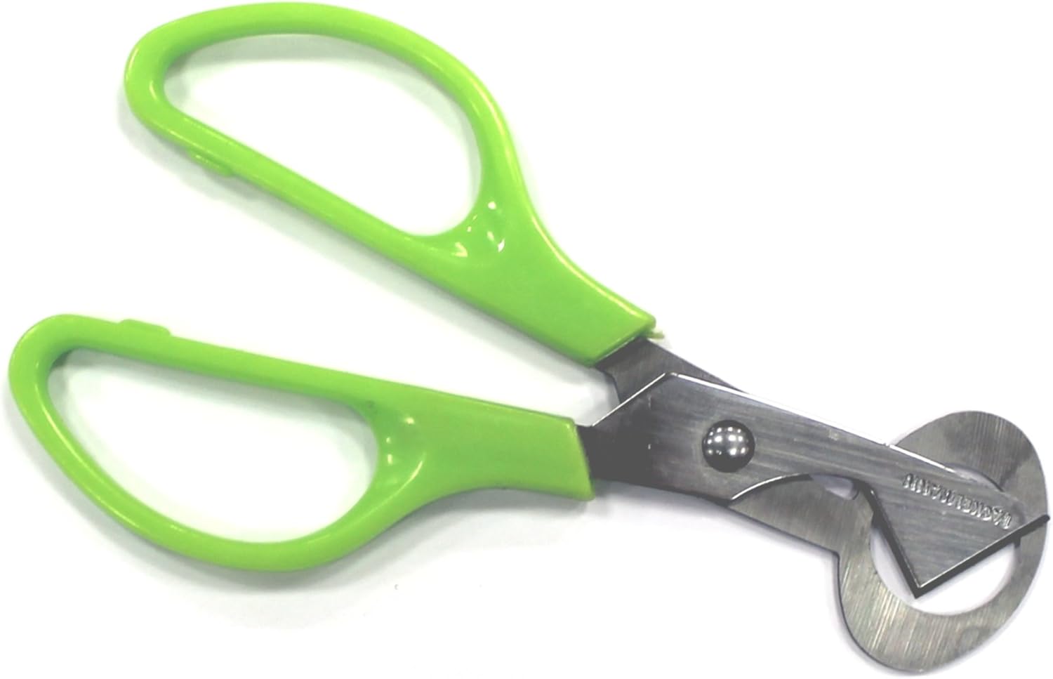 Fackelmann 48920 Quail Egg Scissors, Green, cm