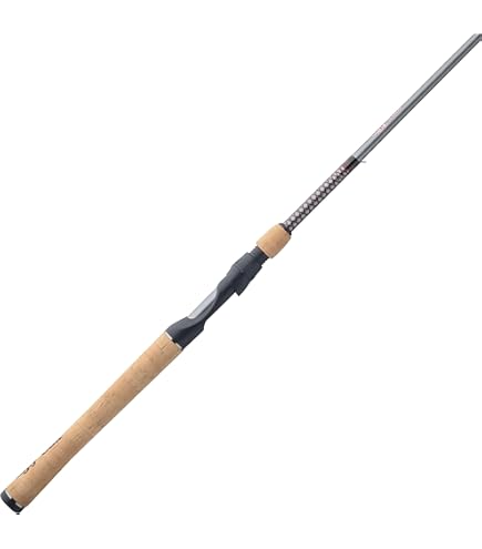 Amazon.com : Daiwa AIRX661MFB Aird-X Braiding-x Casting Rod, 6'6