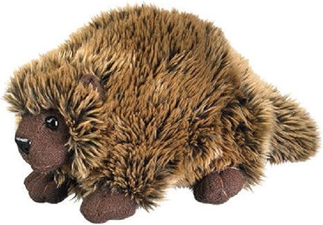 porcupine stuffed animal