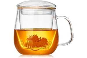 Unbreakable - Glass Tea Cup with Infuser and Lid - 17oz Tea Mug for Loose Leaf Tea, Infusion Mug with Glass Filter and Glass 
