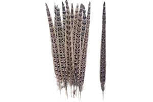 LWINGFLYER 10pcs Natural Pheasant Tails Feathers 10-12" for Hats Decorations Wreath Crafts Flower Arrangements Bouquet Vase Christmas Tree Ornaments