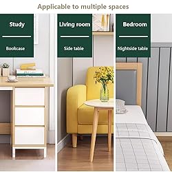 ESBVLOA Mobile Office Storage Cabinet with