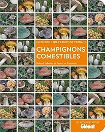 Champignons comestibles