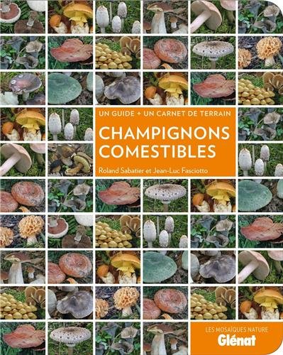 Champignons comestibles