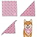 Dog Birthday Bandana - Girl Medium, Large