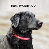 MASBRILL Light Up Dog Collar LED USB Rechargeable Red L Waterproof view 5