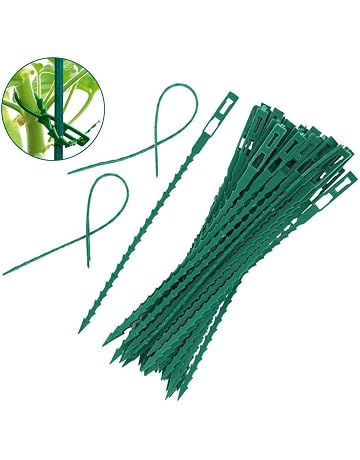 Amazon.es: Soportes para plantas: Jardín