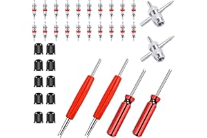 Riseuvo 6Pcs Tire Valve Stem Removal Tool - Single and Double Heads Valve Core Remover, 4-Way Valve Tool Great Tire Repair Tool, 10pcs Valve Stem Caps, 20pcs Valve Stem Core